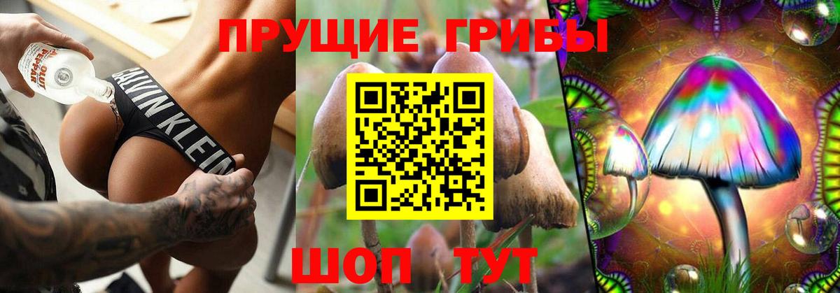 Лениногорск  цены   Галлюциногенные грибы Magic Shrooms  Вход с VPN  Псилоцибиновые грибы Psilocybine cubensis 